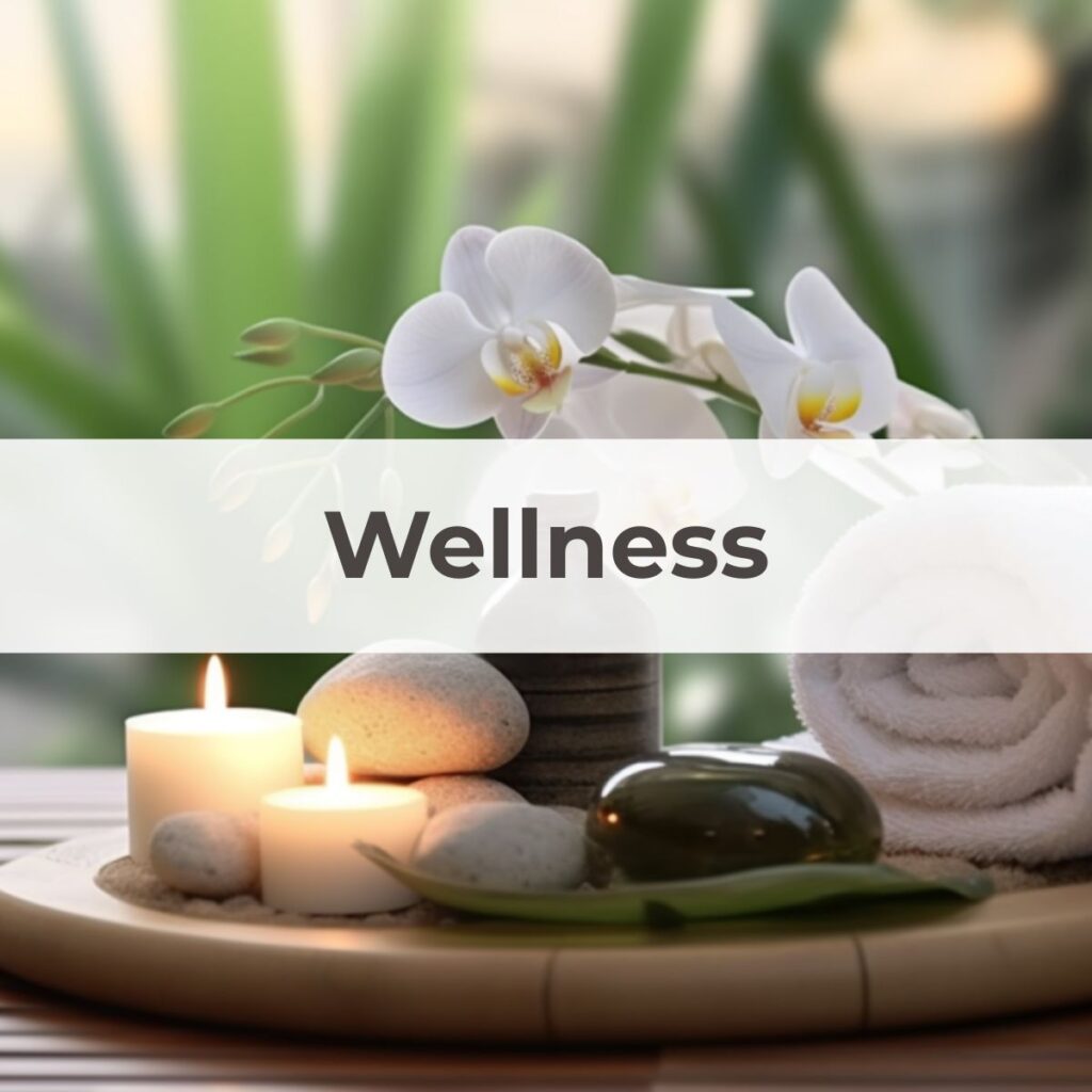 Wellness Category - The Simple Healthy Hub